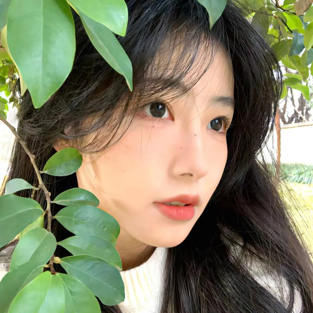 美好条纹